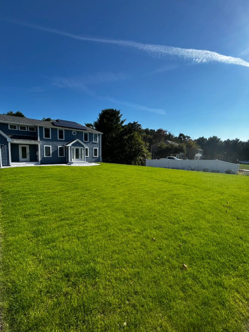 Lawn installation project 4