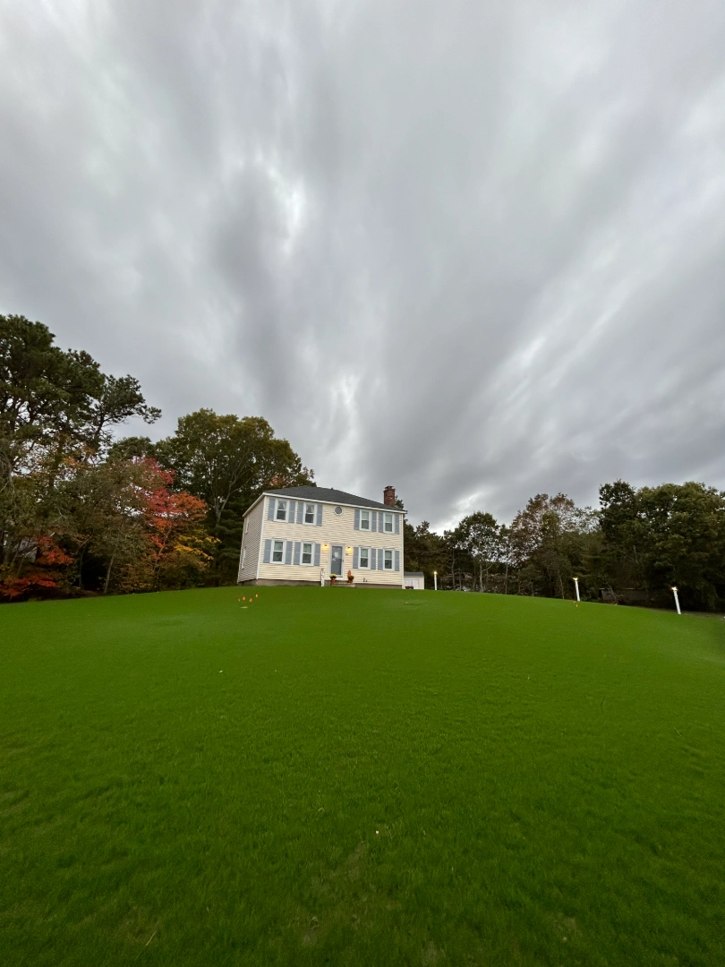 Lawn installation project 6